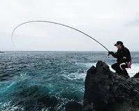 морской рок плавающий рыболовный телескоп углеродистая удочка люциан высокочувствительный стержень