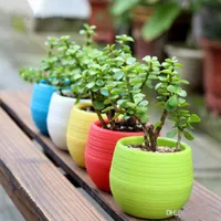 200pcs Jardinagem Vasos pequeno Mini colorido Nursery Plastic Flower Planter Pots Jardim Deco Jardinagem Ferramenta Hot ST809
