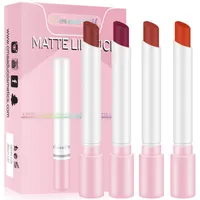 Cigarette Lipstick Set 4pcs Velvet Matte 4 Colors Nude Red Lips Makeup Beauty Cosmetics Creative Cigarette Lip Gloss Long Lasting