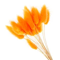 50 unids / lote rama larga flores secas naturales coloridas flores artificiales de felpa cola de conejo falsa hierba de cola de zorra para accesorios de decoración del hogar