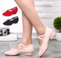 Sıcak Yeni Yetişkin yüksek topuk kanvas ayakkabılar Balo Latin dans ayakkabıları kadın spor karate ayakkabı düz sneakers Halk dans ayakkabıları