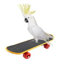 Pet Bird Toys Parrot Intelligence Mini Skateboard Budgies Parakeet Stand Perch Toy Bird Educational Training Accessoires