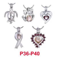 300 Design Pearl Cage Pendant Silver Kärlek önskar pärlor Burar Locket DIY CHARM Pendants Monterings för smycken
