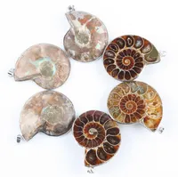 Doğal Taş Ammonite Fosiller Seashell Salyangoz Kolye Okyanus Reliquiae Kabuklu Hayvan Kolye Bildirimi Erkekler Mücevherat