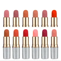 12 kleur lippenstift bullet vorm mini lip glanst waterdichte mate cosmetische producten voor ladys lip make-up