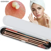 4 stks Set Roestvrijstalen meeMantel Comedone Extractor Rose Gold Silver Pimple Spot Cleanser Beauty Face Cleaning Care Tools