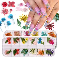 Mix Gedroogde bloemen Nail Decoraties Natuurlijke Bloemen Blad Gedrukte Droog Bloem Stickers DIY Nagels Manicure Accessoires
