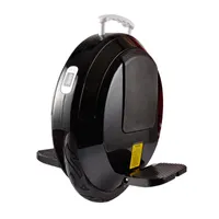 Scooter elettrico di una ruota da 14 pollici Bluetooth Music Music Unicycle Hoverboard Coolest WheelBarrow