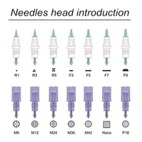 Micro Needle Patron Tips för ArtMex V8 V6 V11 V9 Permanent Makeup Machine Derma Pen Dr Pen MTS PMU Hudvård