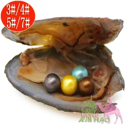 Regali di gioielli di spedizione gratuita Perle di conchiglia Ostriche confezionate sotto vuoto 6-7mm Rotondo AAAA100% perla naturale Oyster Monster