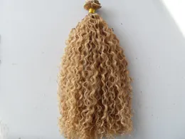 Brasilianska Curly Haft Weft Clip In Natural Kinky Curl Weaves Uncocessed Blonde Human Virgin Remy Extensions Kinesiskt hår