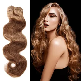 Body Wave 14"-24" Brazilian malaysian indian peruvian hair light brown human hair weft Extensions 100g/p free shipping