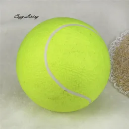 Haustierbedarf, interaktives Spielzeug, Hund, 1 PC, 24 cm, riesiger Tennisball für Haustier, Kauspielzeug, große aufblasbare Lieferungen, Outdoor-Spielzeug, sportlich