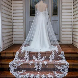 Nya anländer 2019 Wedding Veil Lace Appliqued Single Layer Bridal Slöjor Med Kam 2,5 meter Vit eller Elfenben Veil