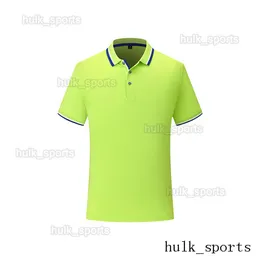 Sport-Polo, Belüftung, schnell trocknend, hochwertiges Herren-Kurzarm-T-Shirt, bequemer Jersey-Stil98542