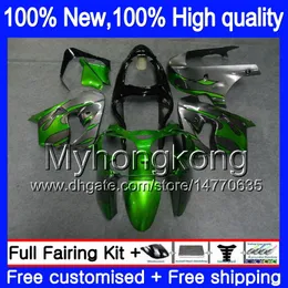 Kropp för Kawasaki ZX-9R ZX900CC ZX 9R 9 R 900 2000 2001 2002 2003 216MY.21 Grå flammor ZX900 ZX9 R 900CC ZX9R 00 01 02 03 Full Fairing