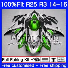Injektion för Yamaha YZFR25 YZF R25 R3 2014 2015 2016 2017 240HM.42 YZF-R25 YZF-R3 R 25 Body YZFR3 14 15 16 17 Fairings Green Factory Kit
