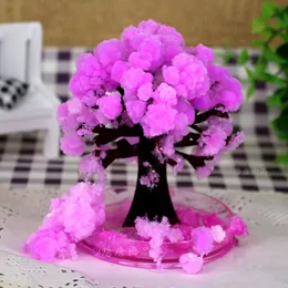 iWish 10x8cm Fiori di ciliegio desktop rosa Cool Japan!ThumbsUp! Magic Japanese Sakura Tree-Brand New Made in Japan Grow Paper Trees Christmas