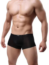 mjuka herrar underkläder boxershort scrotum care capsule funktion ungdom hälsa seoul konvex separation boxare