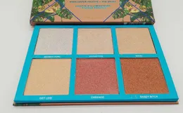 Spedizione gratuita ePacket calda nuovo trucco viso EVIDENZIATORE spazzola del ventilatore della gamma di colori 6 colori in polvere Palette! happy_yunxia