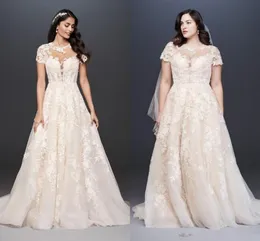 Oleg Cassini Plus Size Wedding Dresses Short Sleeve Jewel Neck Princess Garden Country Wedding Dress Bridal Gown