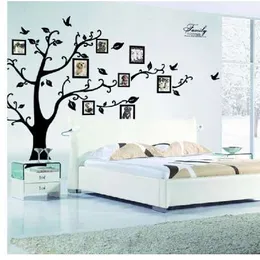 DIY 50*70cm photo frame memory tree classical family wall decal 2141S decorative adesivo de parede removable pvc wall sticker