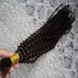 Mänskligt hår buntar Peruvian buntar Bulk Inga Weft 100g 100% Human Hair 1 Bundlar mycket bulkhår för flätning