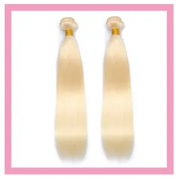 Peruvian 613 # Blond 2 buntar Silky Straight Double Wefts 100% Human Hair Extensions Straight 10-30Inch grossist ren färg