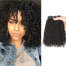 Malaysian 100% Human Hair Extensions Afro Kinky Curly Clip-In Hair Products 120g Clip i naturlig färg 120g 8-24 tum