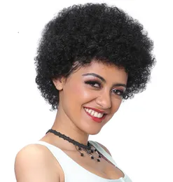 Afro Kinky Curly Human Hair Lace Parykor Korta Bob Wig Brasilian Remy 13 * 4 Front Lace Wig Natural Black