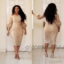 2019 Champagne Lace Mother of the evening Dresses Tea length Long Sleeve Plus Size Mother of Groom Formal Occasion Dress