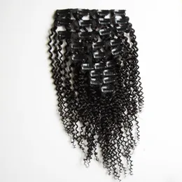 Kinky Curly Clip in Hair Extensions for Black Woman 100g / Set African American Clip in Human Hair Extensions