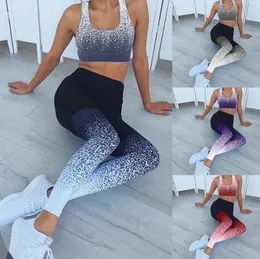 CAPRIS Wysojna oddychająca szybko suszenie odzież sportowa Aktywne noszenie szwu Półpody jogi rajstopy kulturystyczne legginsy jogging femme