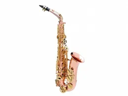 Hot Brand Buffet Crampon Alto Saxofon Eb Tune Red Brass Professionella Musikinstrument med munstyckshandskar Tillbehör