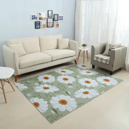 carpets for living room rug and aisle runner carpet bedroom area rugs home fluffy mat heart table accessories