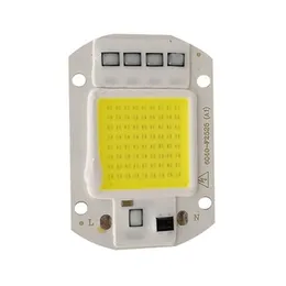 50W 220 V DIY COB LED Żarówka Koralik do światła powodziowego