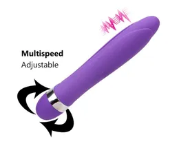 Silikon-G-Punkt-Vibrator beschleunigt Simulation vibrierender Dildo, Stille, kraftvoller Zauberstab, Massagegerät, Vibratoren, Sexspielzeug für Frauen