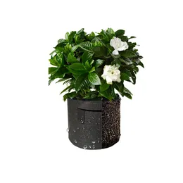 Miljövänlig nonwovens växt odlar väska plantor potten container planter blomma gröna växter trädgårdsgryta med handtag