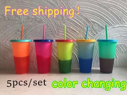 710ml Temperature Color Changing Cup Plastic Tumbler Cold Drink Bottle with Straw and Lid Magic Cup Free Shipping