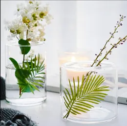 Nordic Ins transparent glass Vases living room arrangement dry flower small fresh household hydroponic flowerer vase