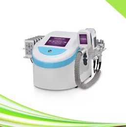 Nowy Fajny Tech Cryo Cellulit Usunięcie RF Face Linga Cavitation Cryolipolizy Machine Fat Freeze