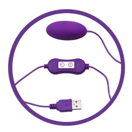 Adjustable Speed USB Powerful Vibrating Egg Female Masturbation Sex Products Adult toys for Women