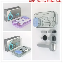 6in1 Ice Derma Roller Micro agulha Cuidado com a pele Face spa Massagem Anti Acne Remoção de pigmentos DHL FASH FREE