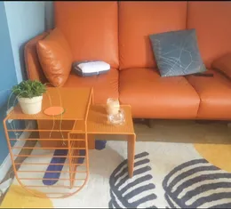 Tavolo da tè divano in ferro multifunzionale nordico Mobili per soggiorno piccola combinazione di mobili TV per famiglie semplici e moderni tavoli con fiori decorazione lusso leggero