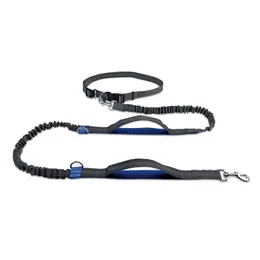 Hand Free Reflect light flex dog Leashes sport running waist belt multifunction walk the dog leashes chain Pet Dog Supplies will and sandy