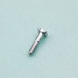 12 PCS 4 Star Four Star Silver Polished Stainless Steel Screw For RM RM 50-03/01 RM-11 RM011 Watchband Strap