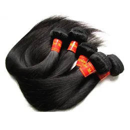 Partihandel Malaysiska Straight Virgin Remy Mänskliga hårbuntar 5Pieces 500g LOT Obehandlat nageljusterad hårklipp från en givare