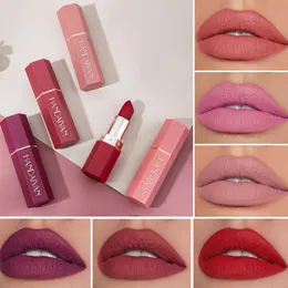 New Arrive Matte Lipstick Lips Makeup Long Lasting Non Sticky Lipstick Lip Gloss Cosmetic Matte Lipstick