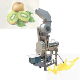 Ce Stainless SteelScrew Press Frukt Juicer Vegetabilisk Vitlök Ginger Onion Herb Juice Extractor Machine Apple Juicer Orange Juicer