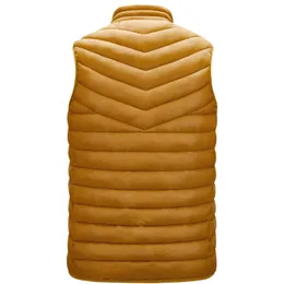 Gilet da uomo 2020 Autunno Mens Senza Maniche Giubbotti Più Il Formato M-4XL di colore Solido Caldo Della Maglia Gilet Da Uomo Casual chaleco hombre1292Q